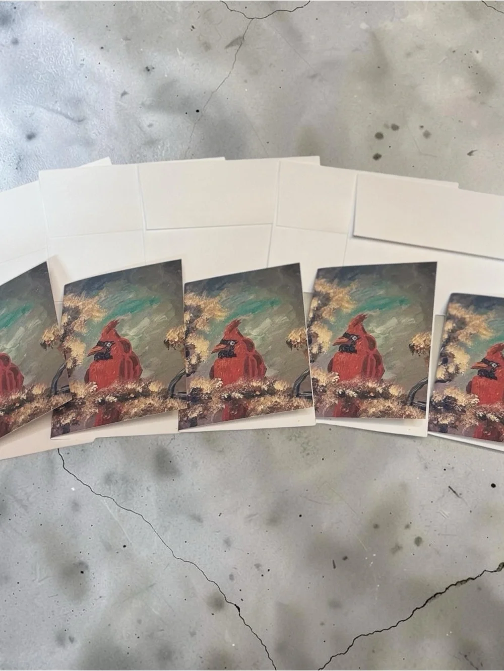 Cardinal Remembrance Greeting Card Set of 5 by Briefcase Artist